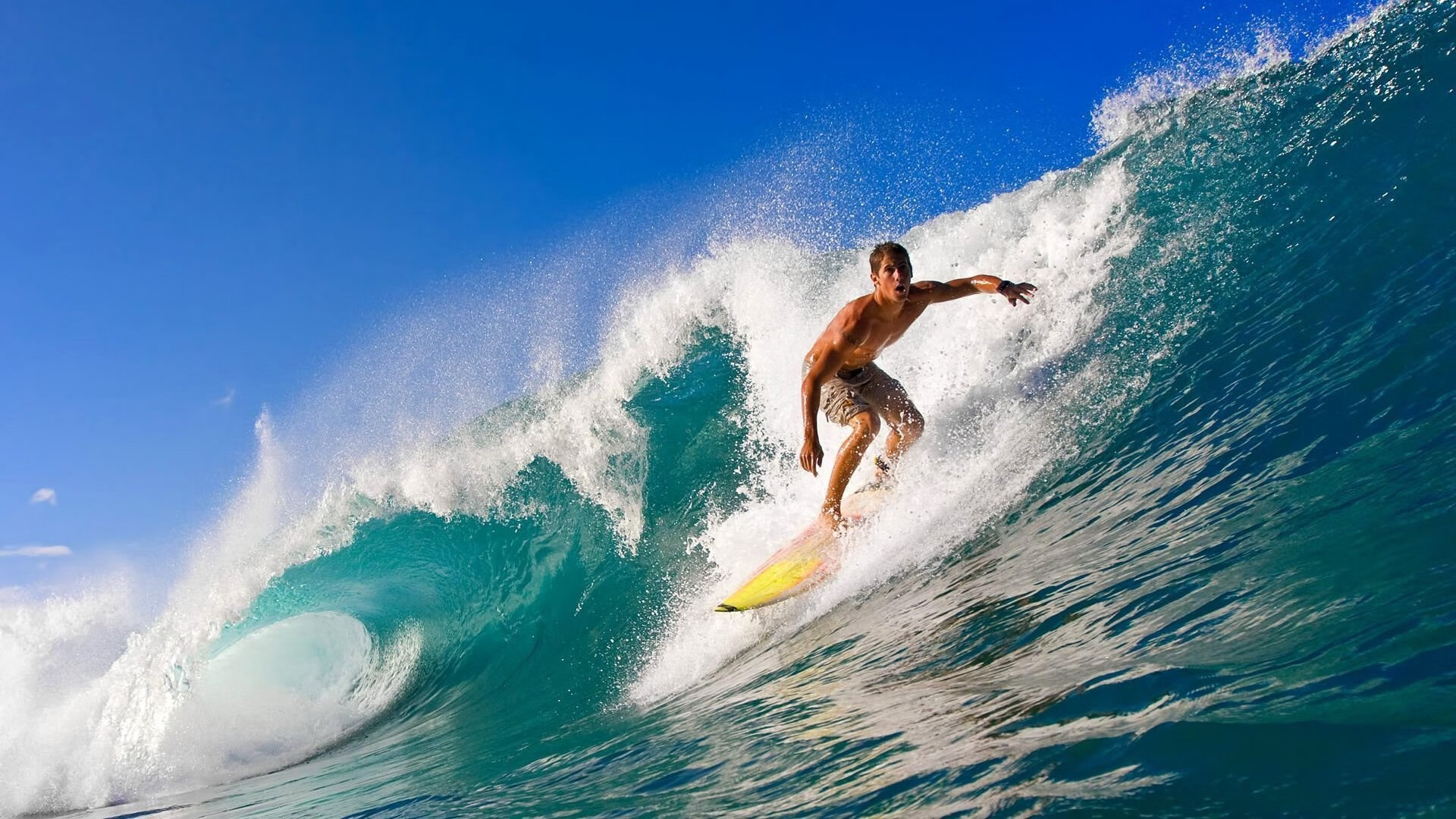 法国游泳名将打破尘封十年世界纪录 泳坛迎来新里程碑