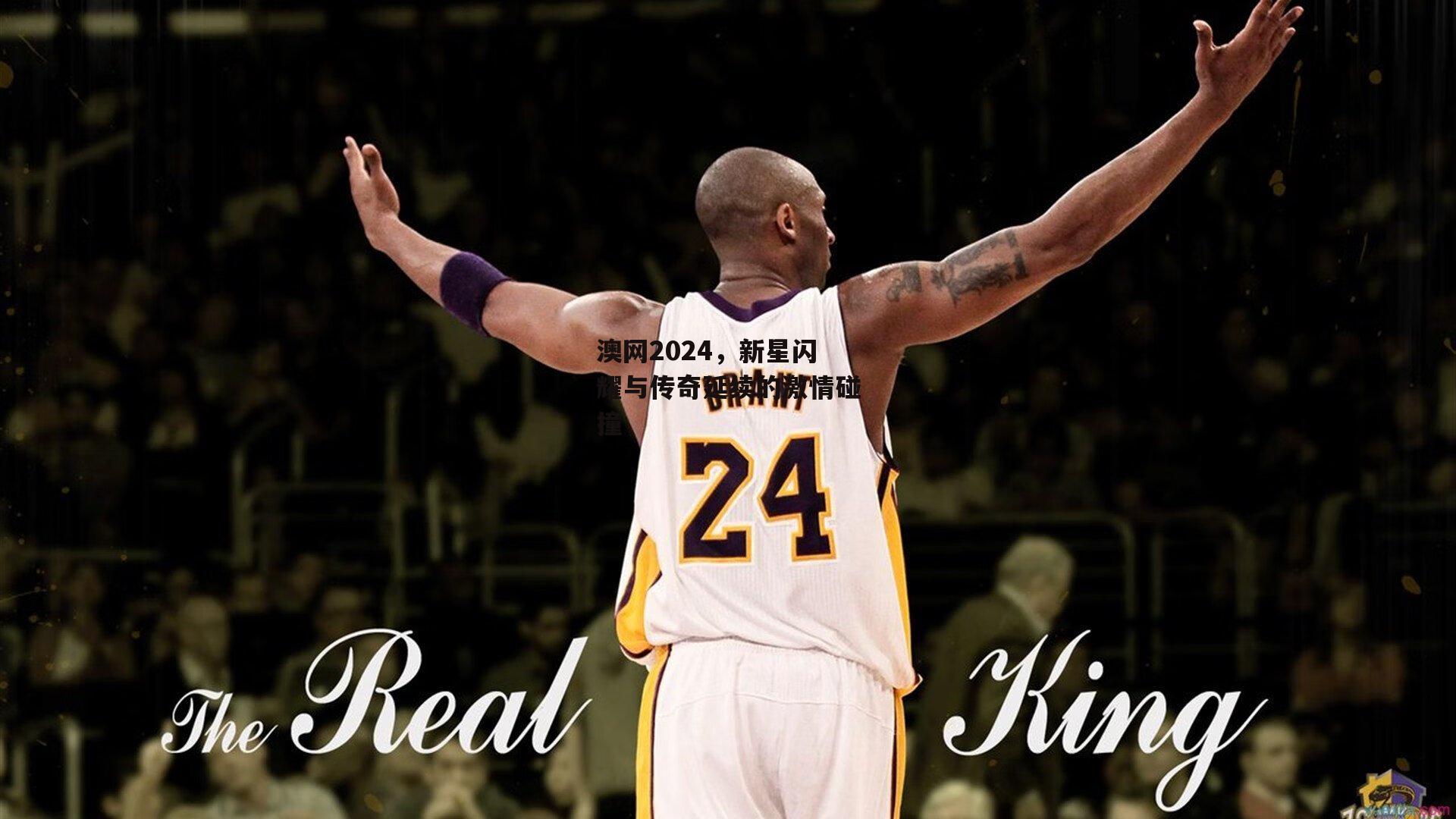 澳网2024,新星闪耀与传奇延续的激情碰撞