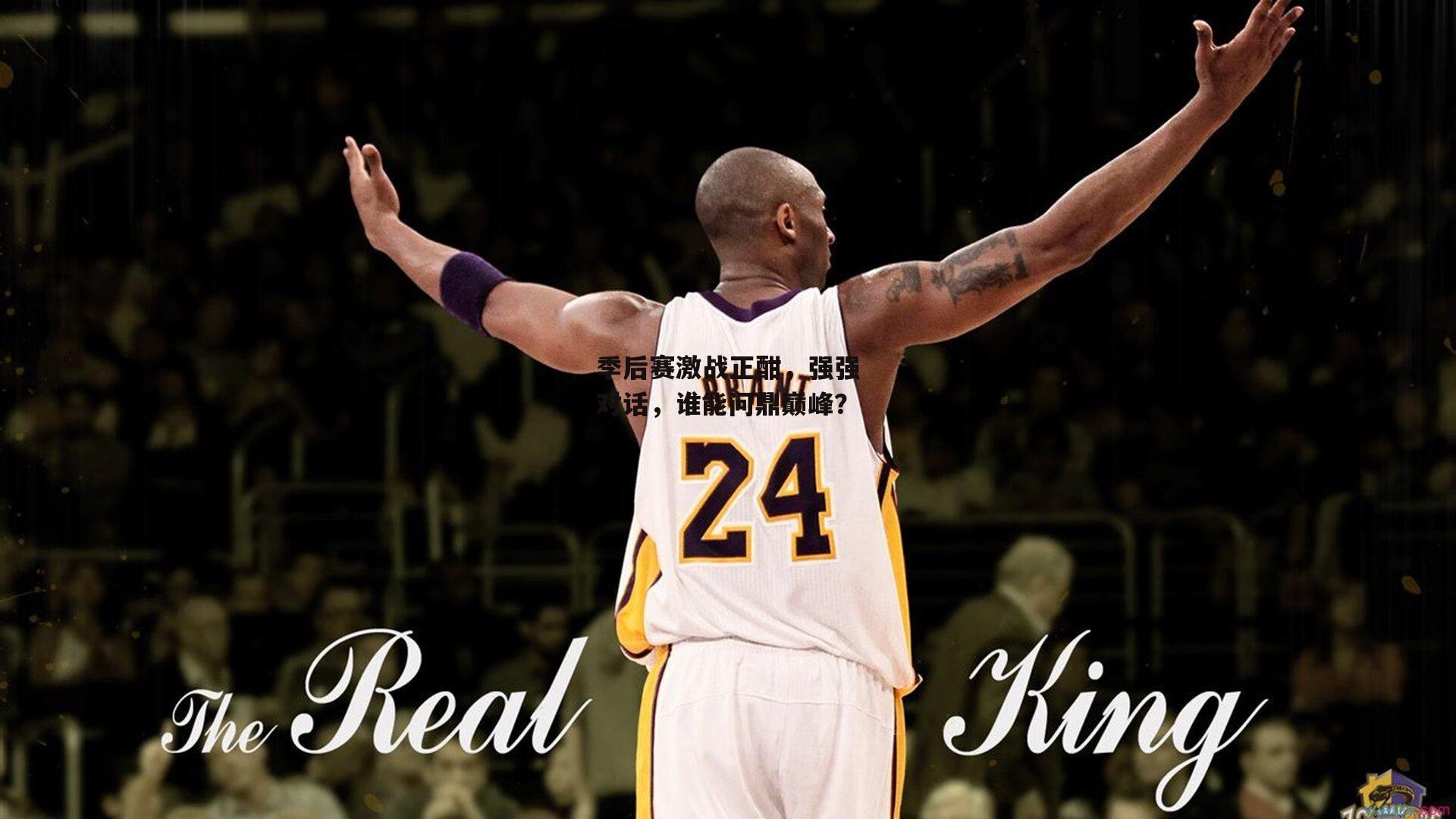 季后赛激战正酣,强强对话,谁能问鼎巅峰?
